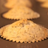 Lemon Poppy Seed Muffin Recipe