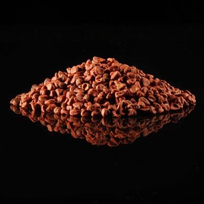 Annatto Seeds