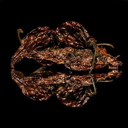 Bhut Jolokia Peppers - World's Hottest Chile