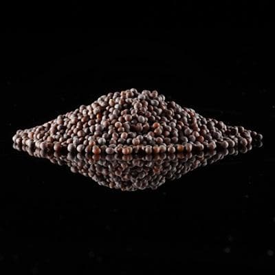 Brown Mustard Seed