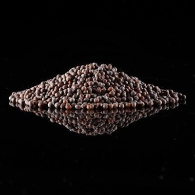 Brown Mustard Seed - Free Sample