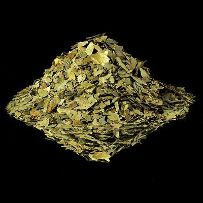 Curry Leaves Organic