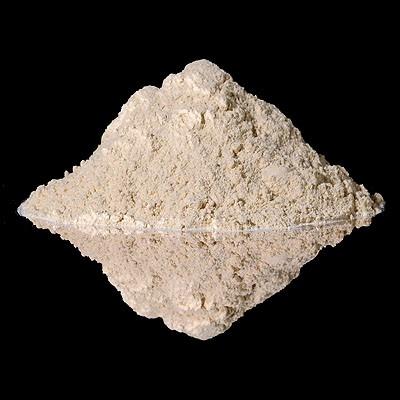 Garlic Powder Pure - Free Sample