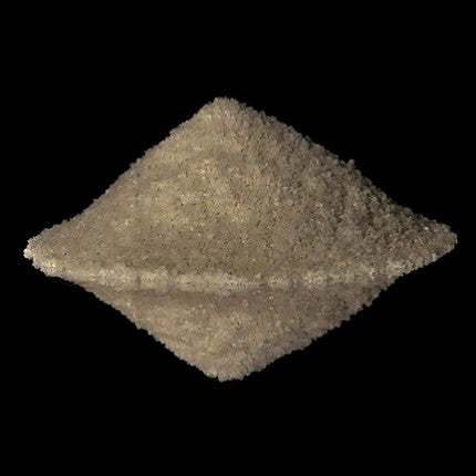 Sel Gris Sea Salt Fine