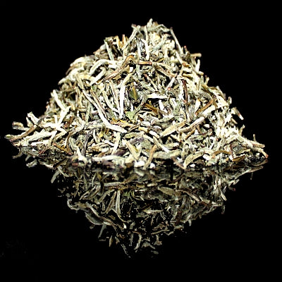 Silver Needle Tea