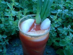 Bloody Mary Pitcher Recipe