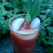 Bloody Mary Pitcher Recipe