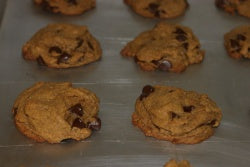 Pumpkin Chocolate Chip Cookie Recipe