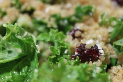 Quinoa Kale Salad Recipe