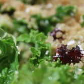 Quinoa Kale Salad Recipe