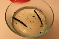 Vanilla Bean Simple Syrup Recipe