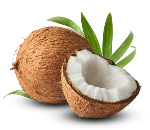 Coconut