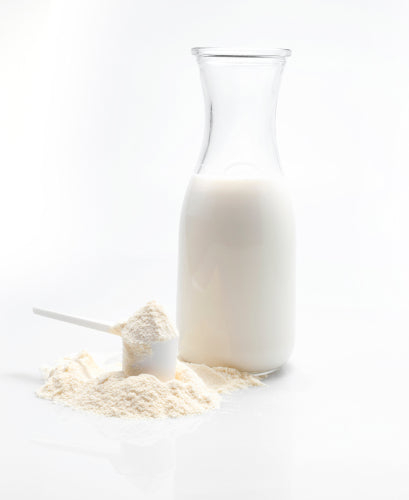 Dairy Powders