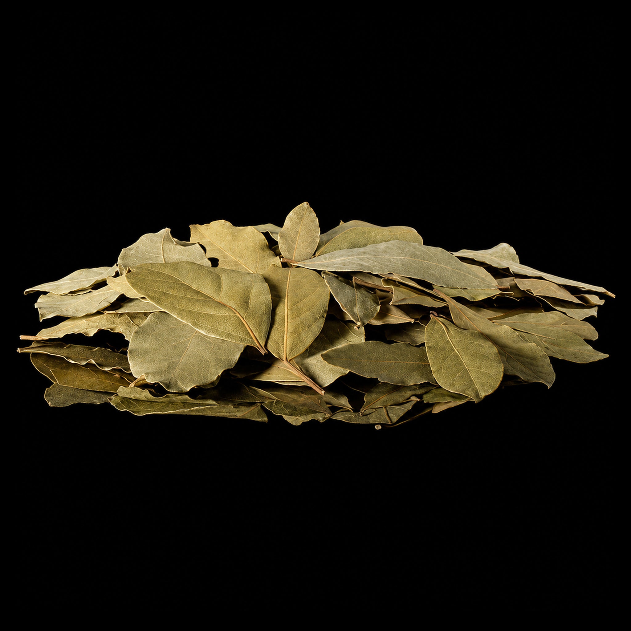 Bay Leaves