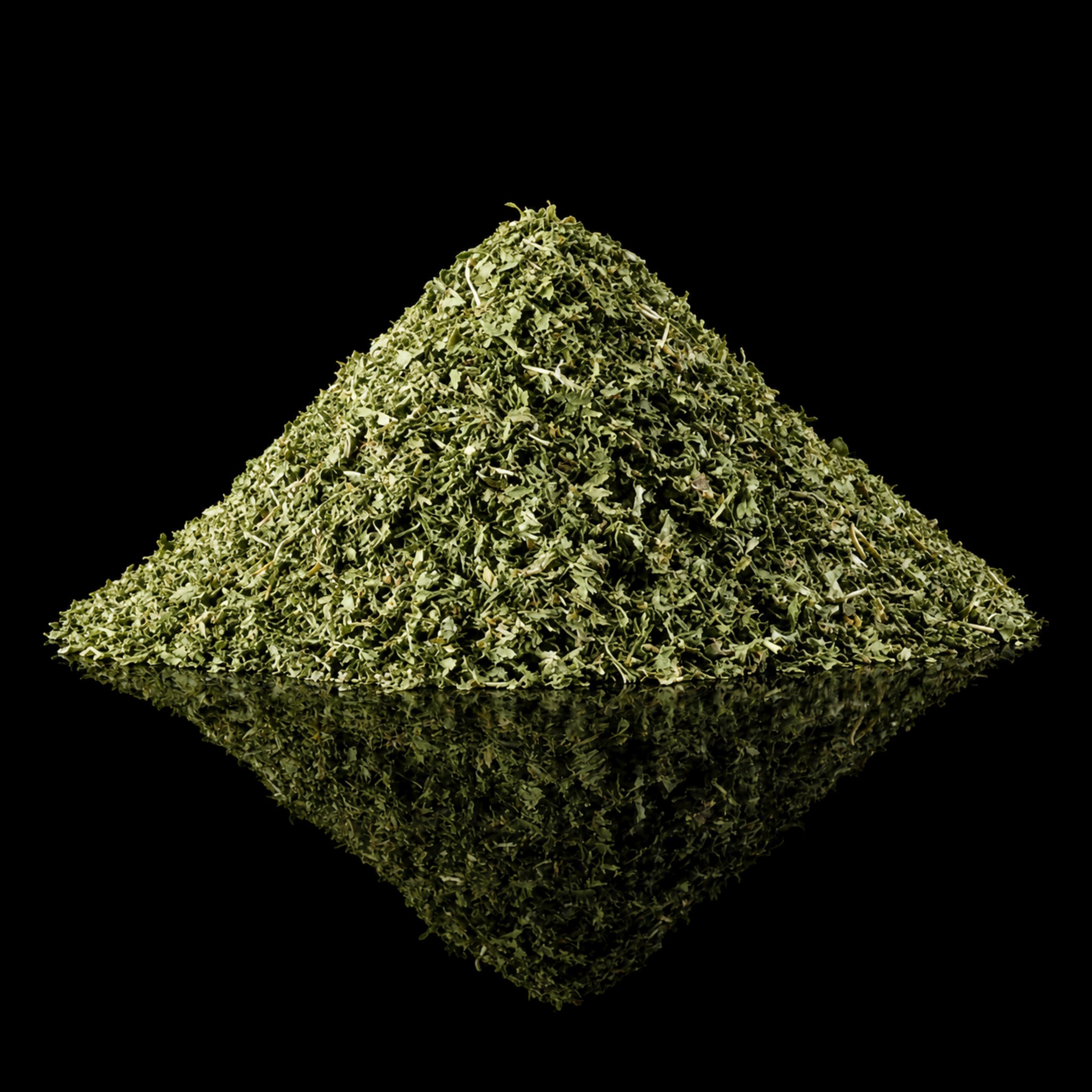 Cilantro
