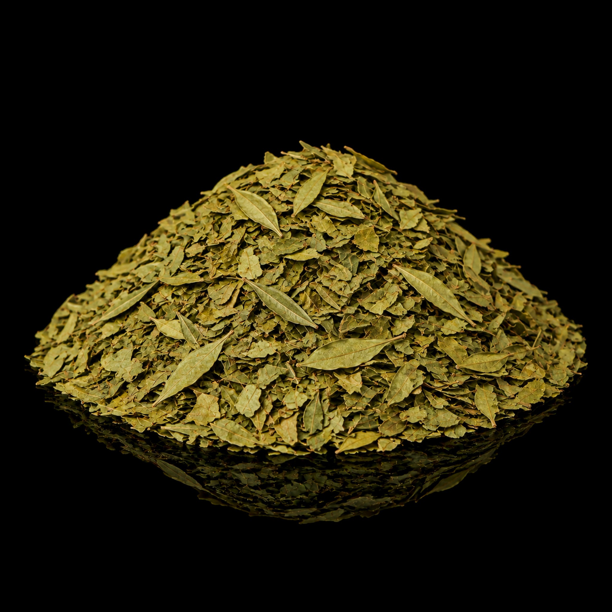 Curry Leaves Organic