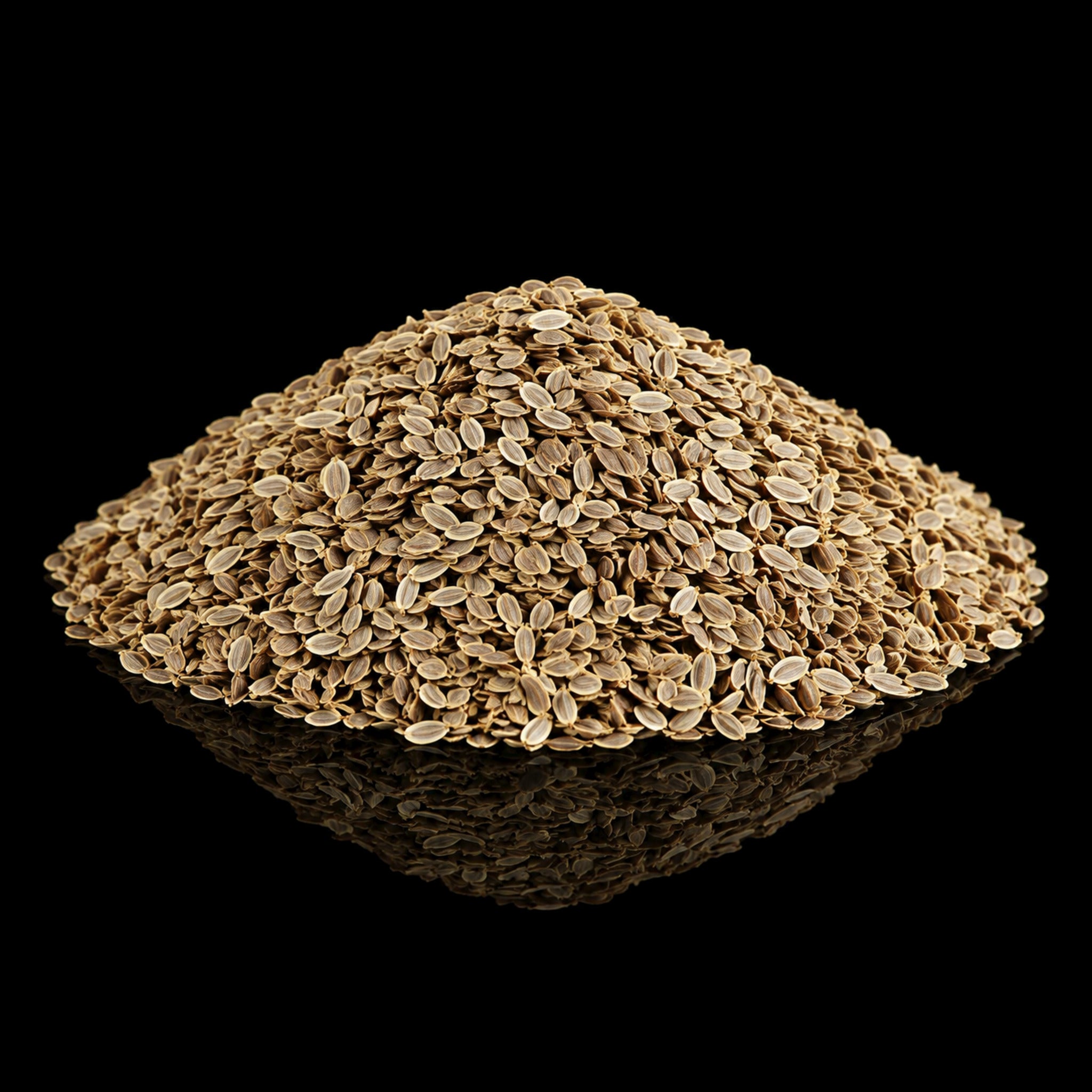 Dill Seeds