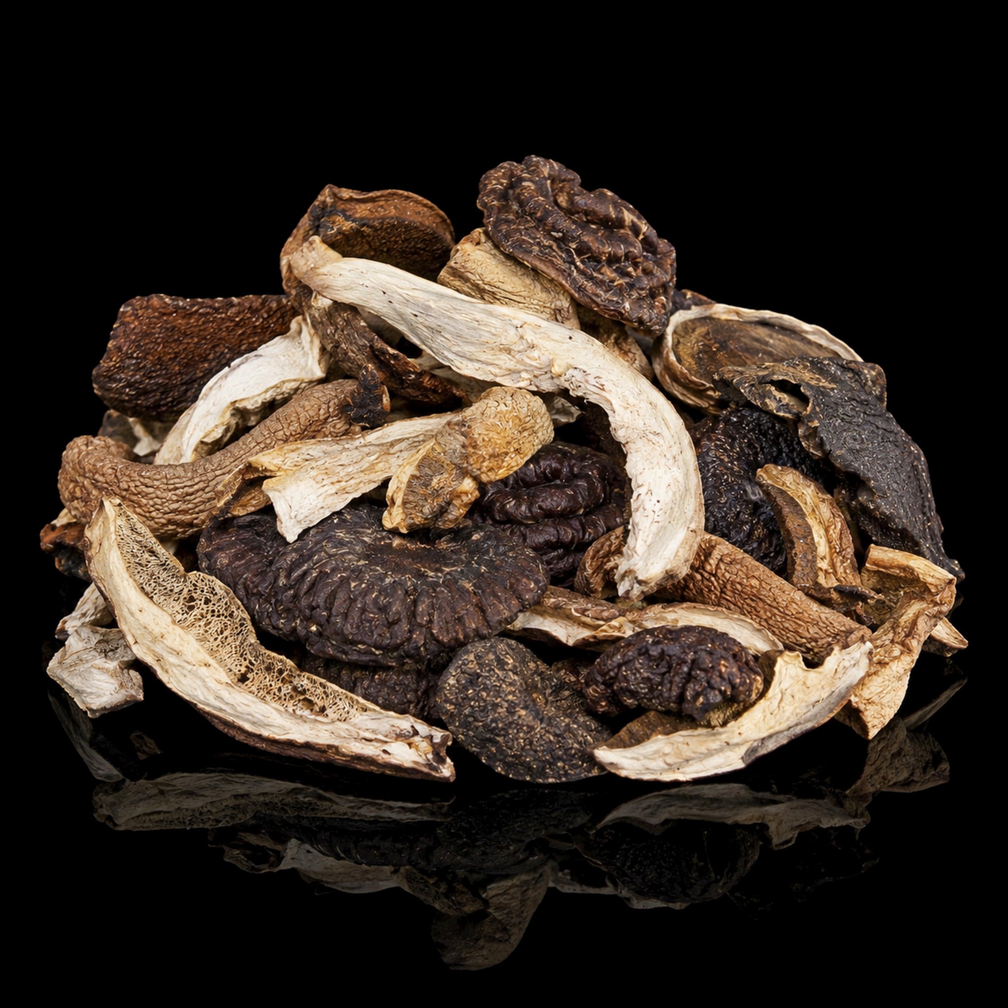 Forest Blend Dried Mushrooms