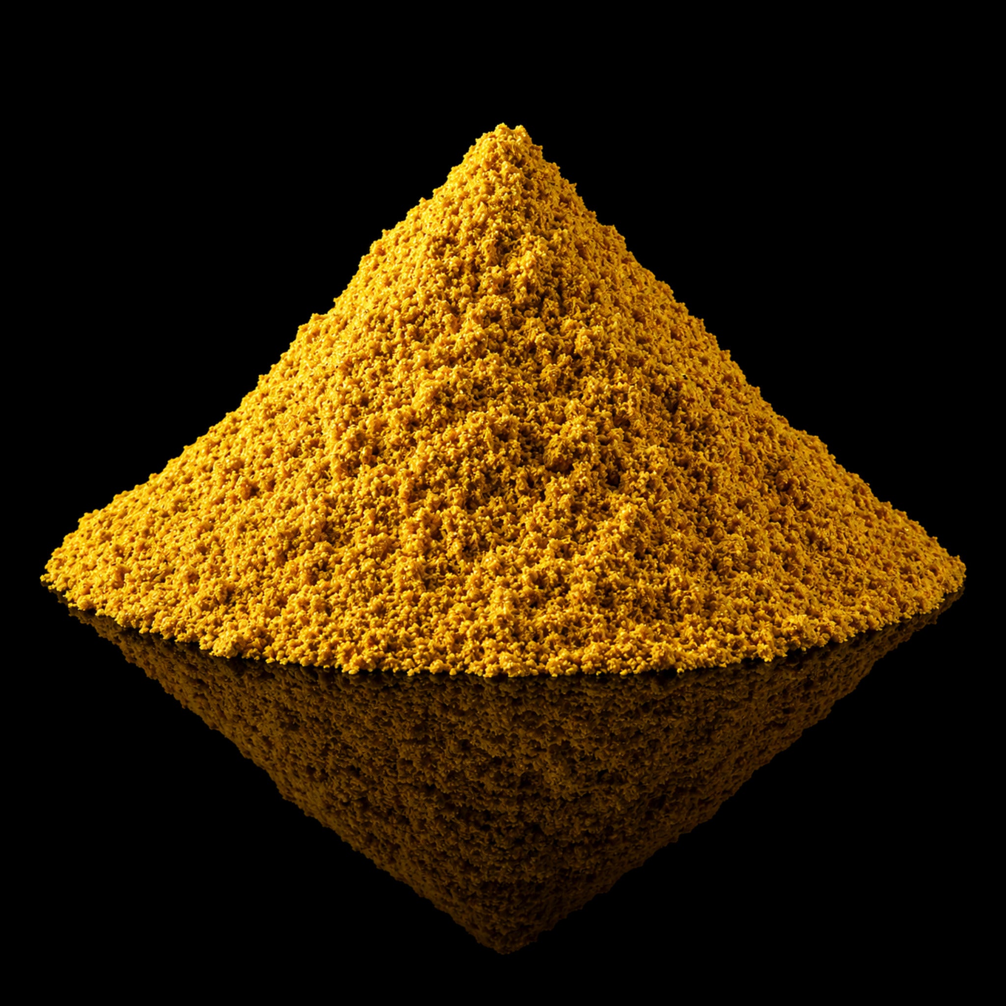 Maharajah Style Curry Powder