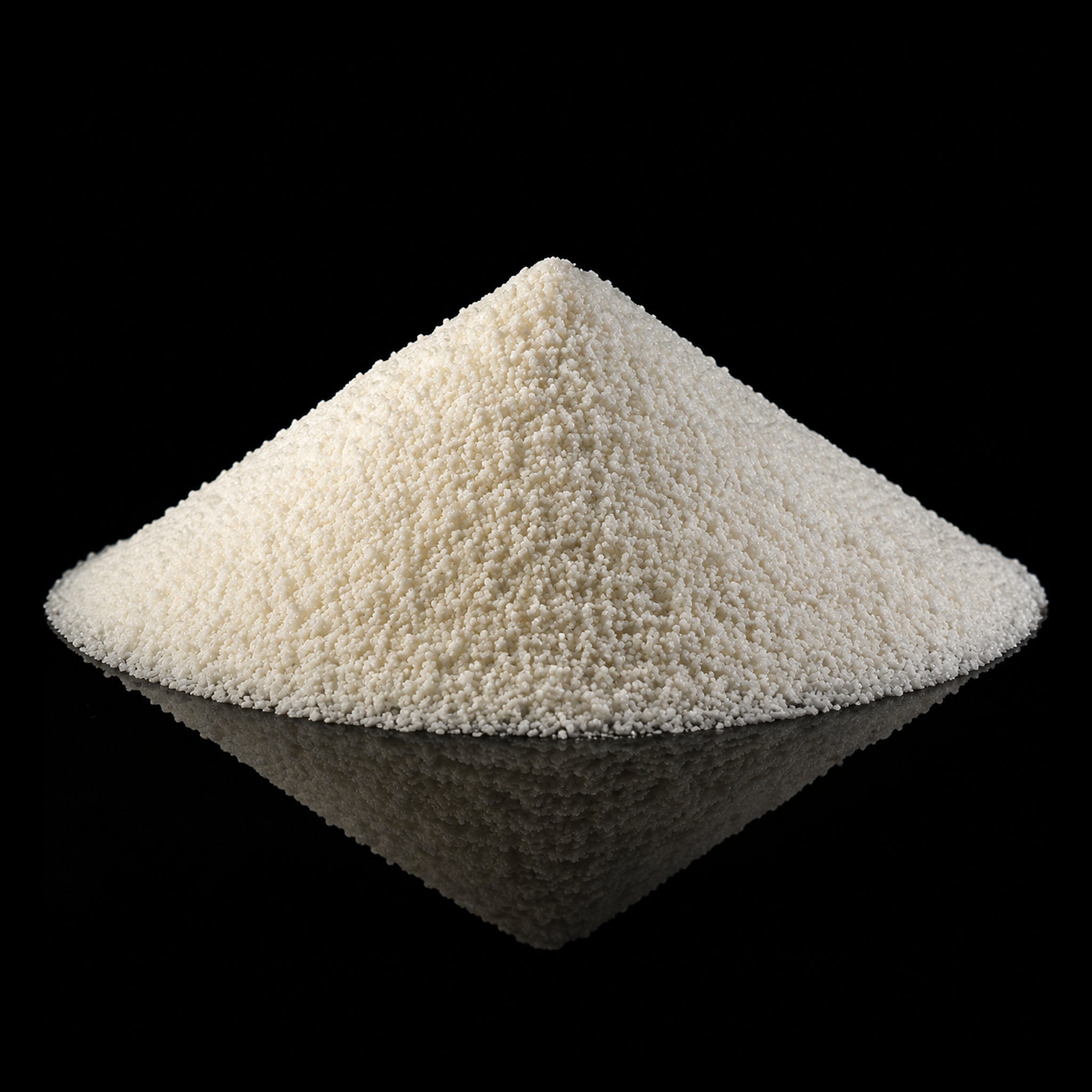 Meat Tenderizer Salt