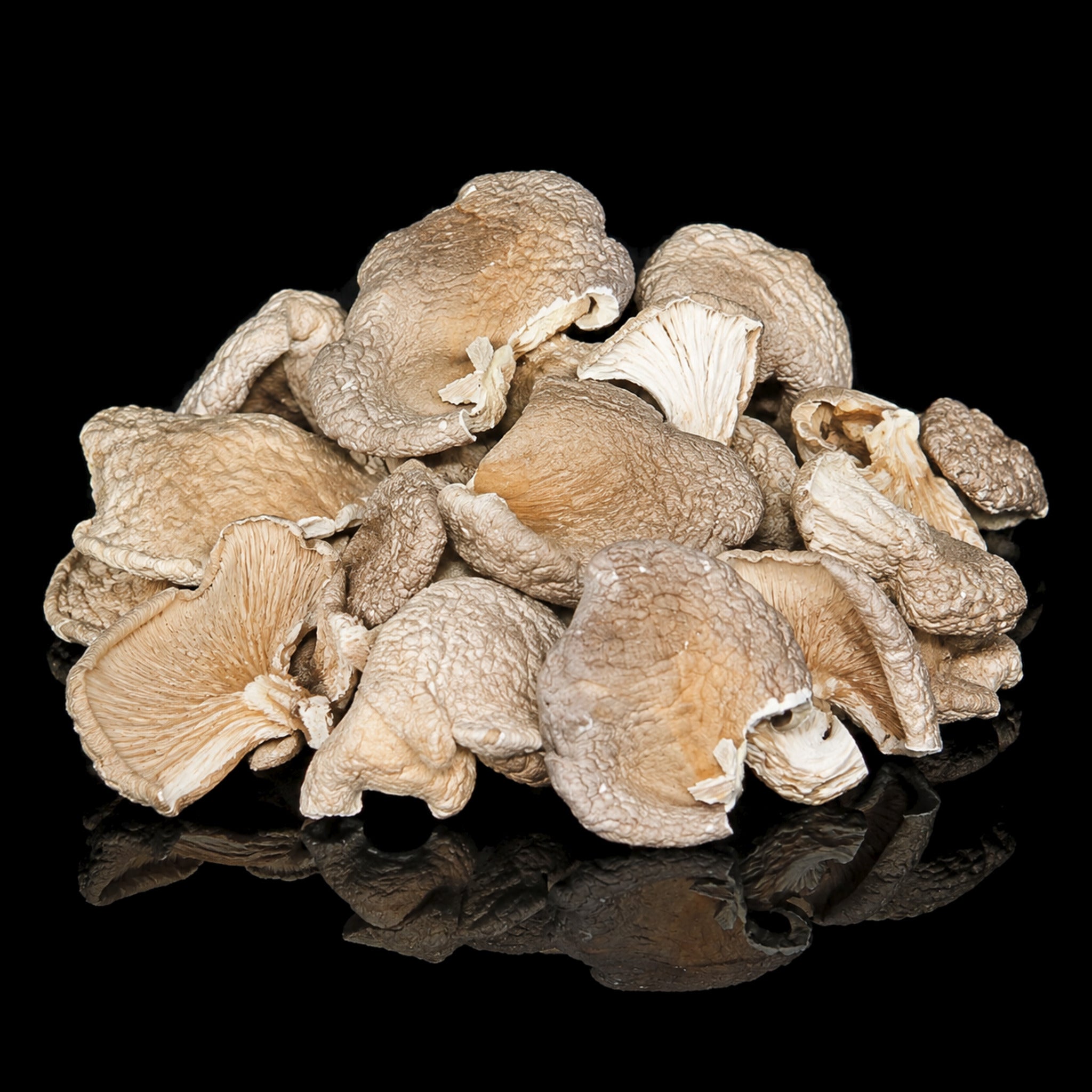 Oyster Mushrooms Dried