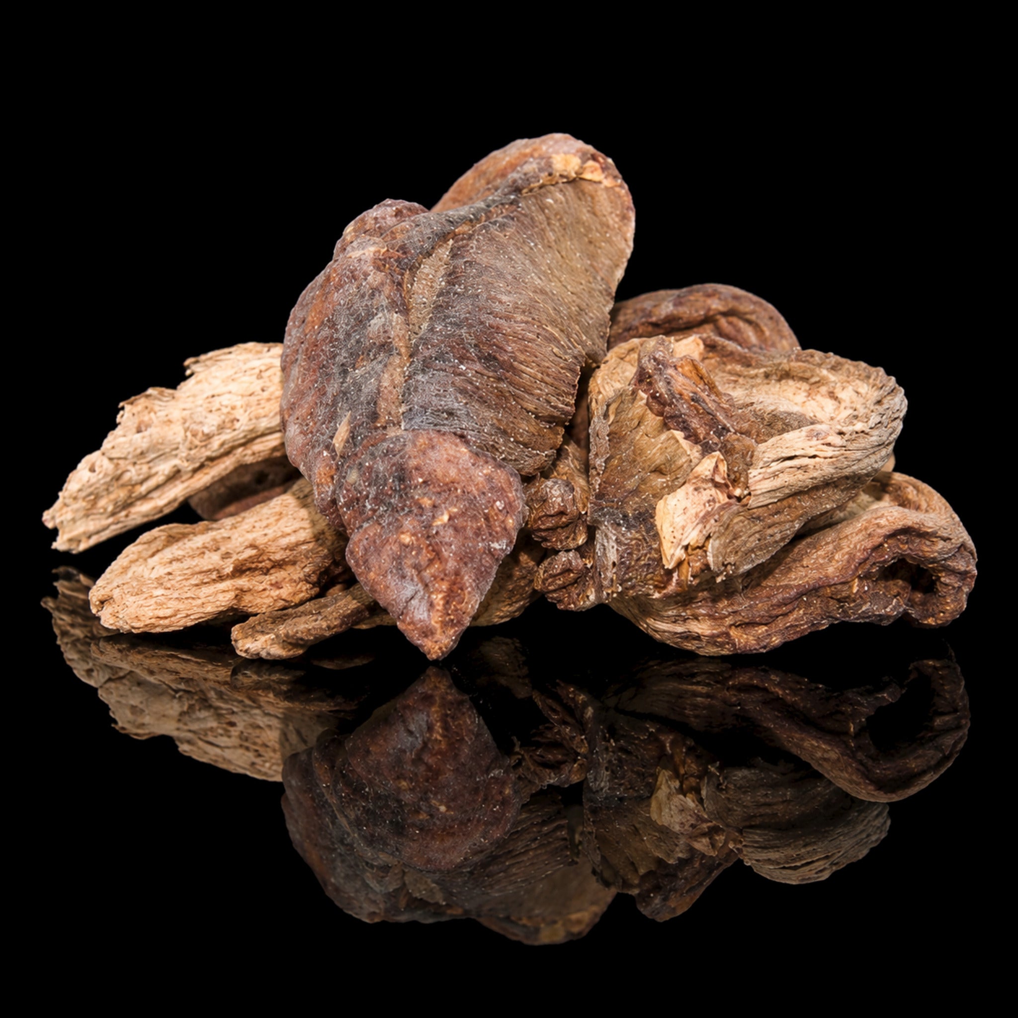 Porcini Mushrooms Dried