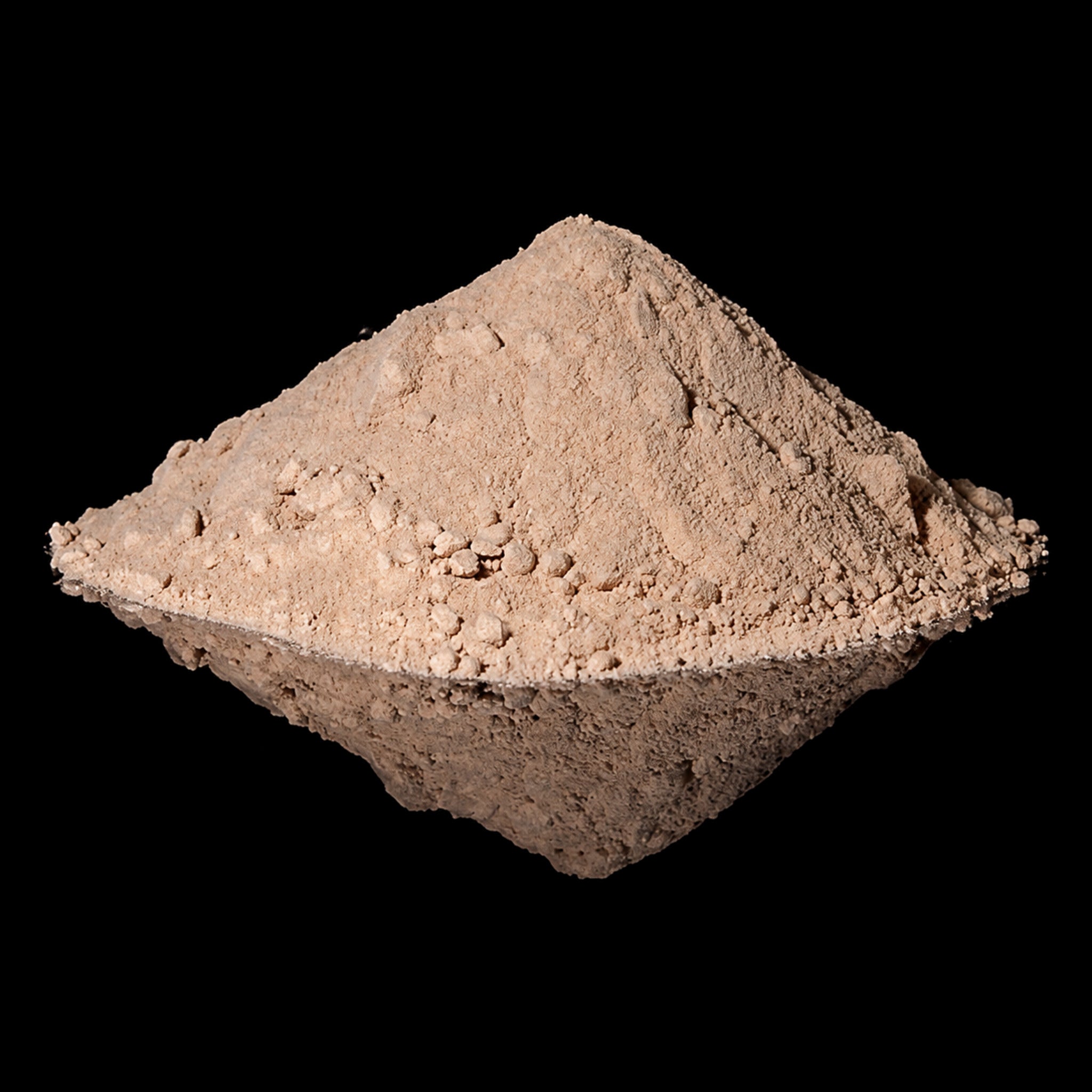 Shallot Powder
