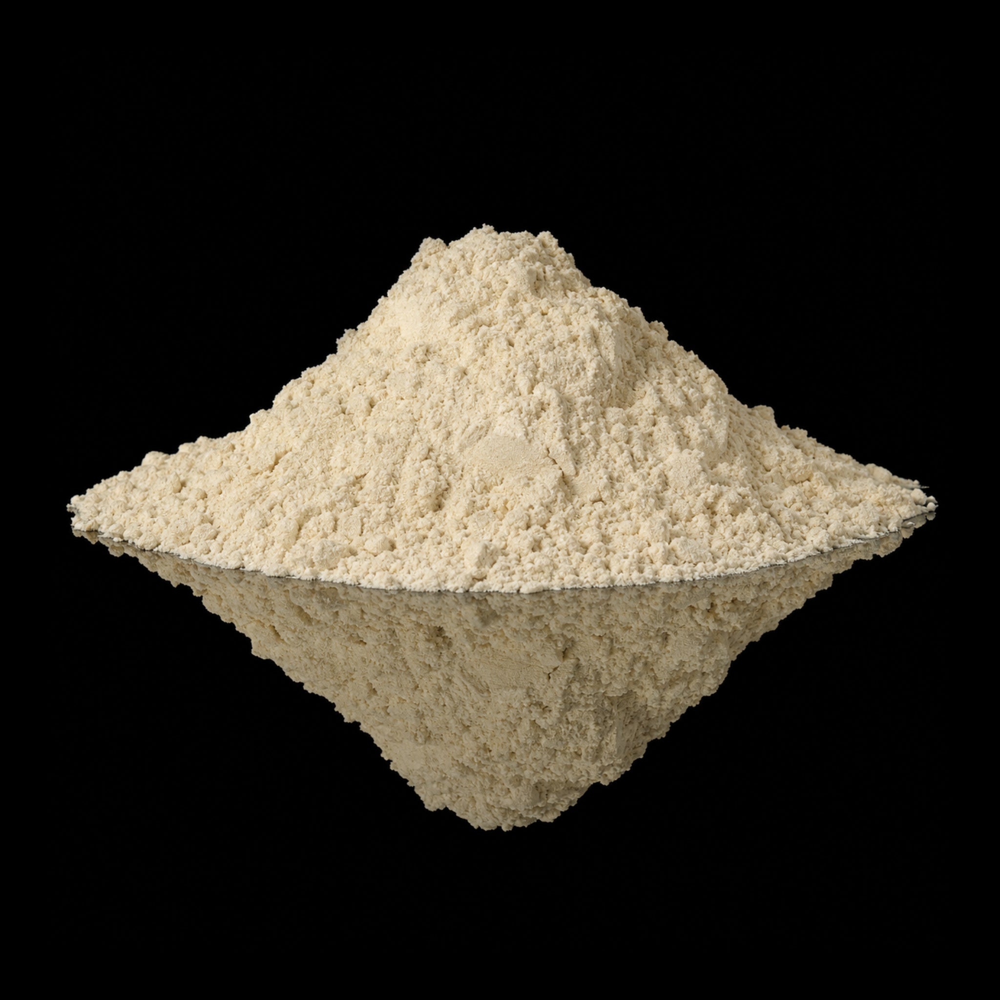 Soy Flour Defatted