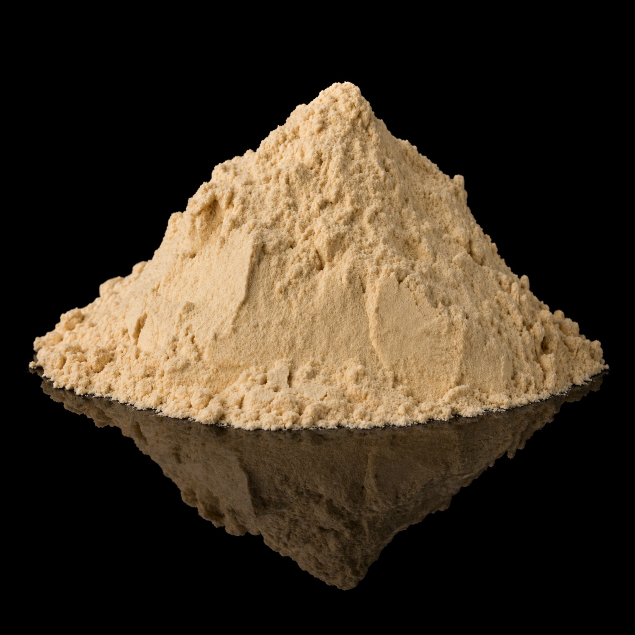 Soy Sauce Powder