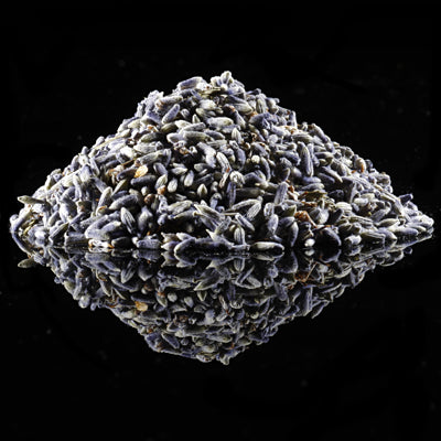 dried lavender seeds Lavender Buds - Dried Food Grade - Bulk 0.25 lb