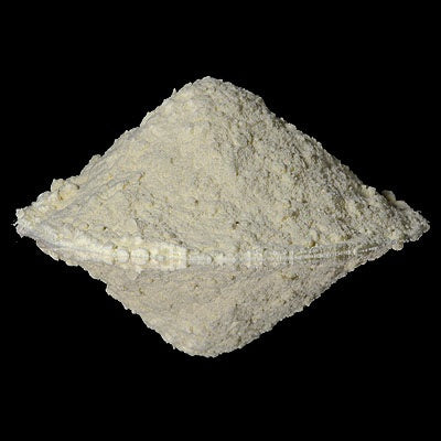 Whole Milk Powder