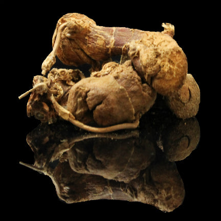 Galangal Root Whole